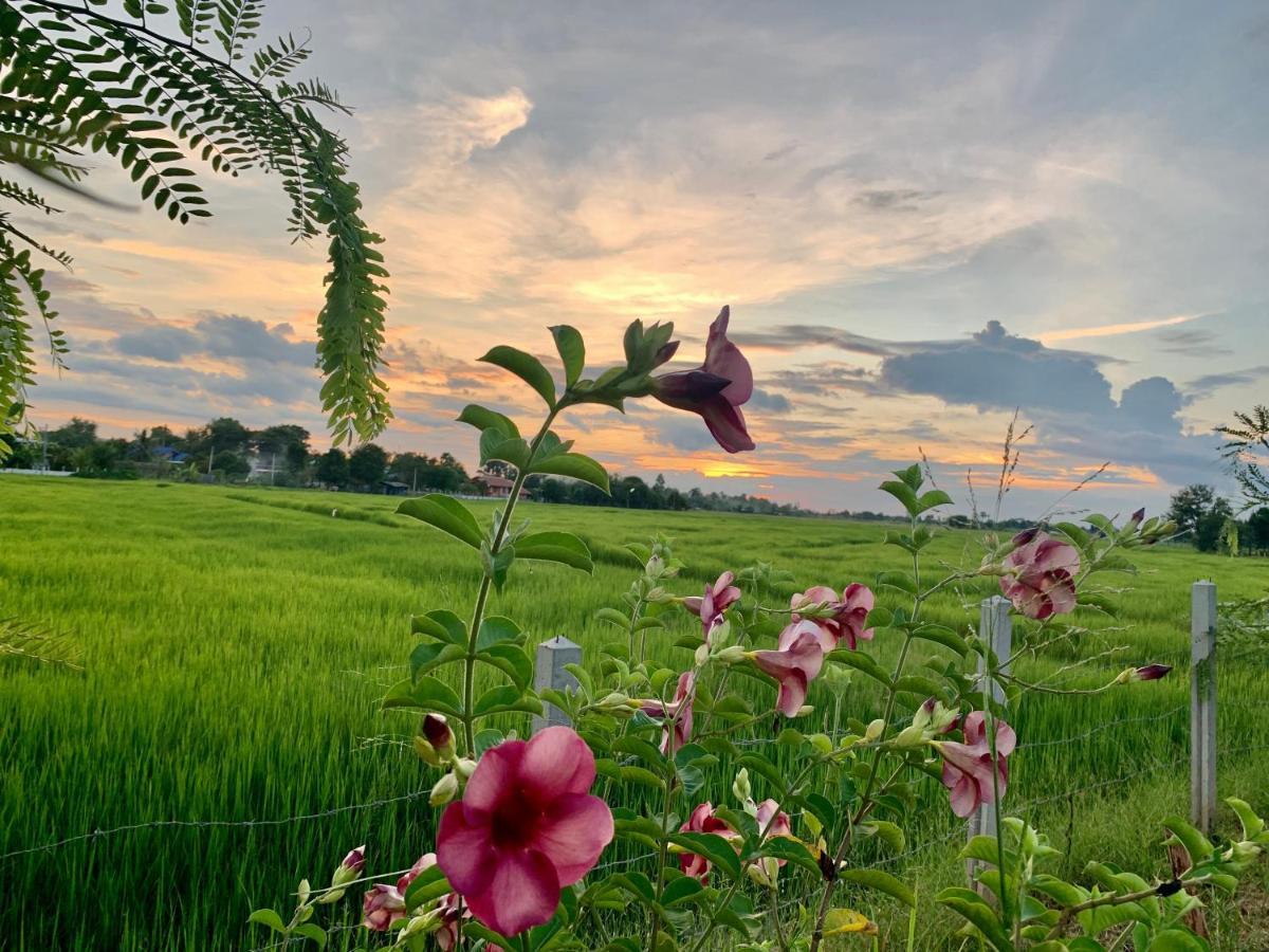 Rang Robin Farmstay With Swimming Pool Ban Wang Muang Bagian luar foto